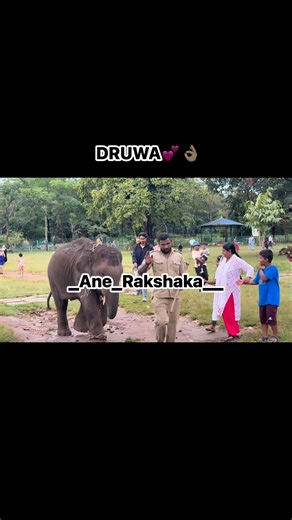 18K views · 258 reactions | Ane Rakshaka on Reels | Facebook