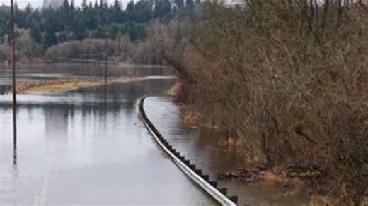 Woman recounts Chehalis River rescue