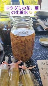 ドクダミの化粧水&ヘビイチゴの薬 #ドクダミ#手作り化粧水#虫刺され
