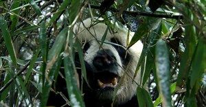 SciTech Now:SciTech Now Episode 10 Season 1 Episode 110