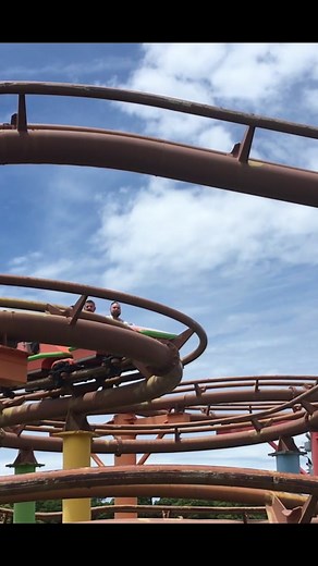 themeparkreview on TikTok