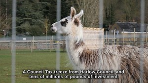 7.4K views · 69 reactions |  Your money, your priorities - a budget, from us, with you and our town at its heart ❤️ | Harlow Council | Facebook