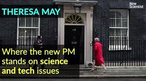 345K views · 246 reactions | New Scientist on Reels | Facebook