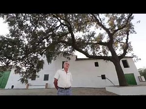 Aguilar Explotaciones