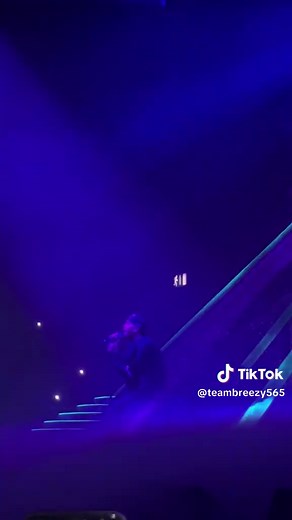 Chris Brown Performance Highlights on Tour