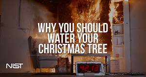 As the holiday season draws near, NIST wants to remind you to be sure to water your Christmas tree so that your festivities don’t go up in flames. | National Institute of Standards and Technology (NIST)