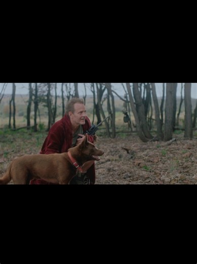 Movie Planet (@danic.planet)’s videos with original sound - Movie Planet