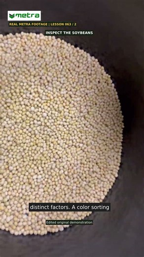 Soybean Sample: Keep the Factors Distinct | METRA #Shorts