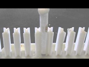 Chemistry Demo: Vinegar (acetic acid) and Ground Coral (calcium carbonate)