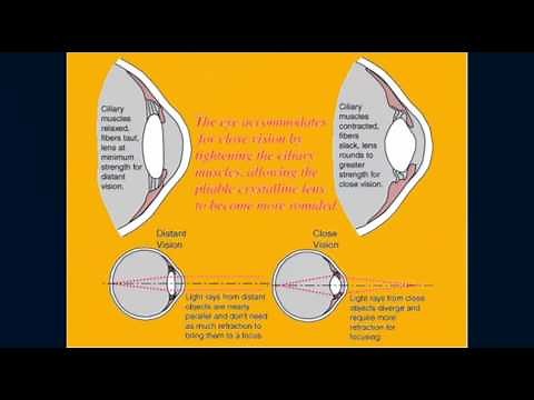 Vision: Structures and Functions of the Eye