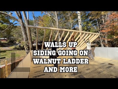 Walls up, Siding going on, walnut ladder and more