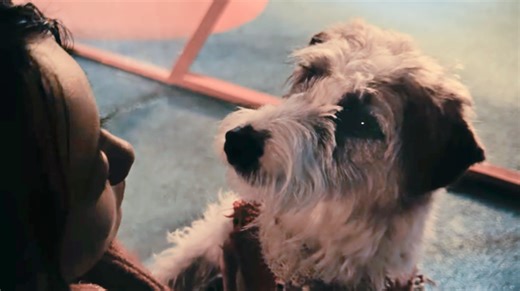 Apple debuts its 2026 Chinese New Year short film Shot on iPhone 17 Pro