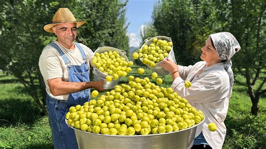 145K views · 2.8K reactions | Cherry plum is a very tasty fruit! Jam from it is sweet and perfect for winter ❤Making Cherry Plum Jam for Cold Days - Easy and Yummy Recipe  #jam #plum #recipe | Faraway Village Family | Facebook