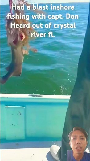 Amazing Grouper Catch! Watch This Epic Fishing Strike!
