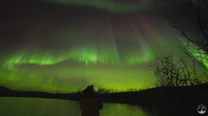 Some of the best aurora shows of this season thus far 🤯 Watch till the end! | Night Lights Films