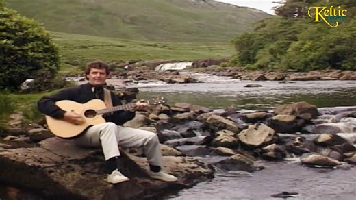 Mick Flavin - The County Of Mayo