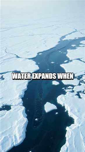 Cracking Nature: Five Astonishing Science Facts