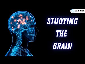 Edexcel Only: Studying the Brain