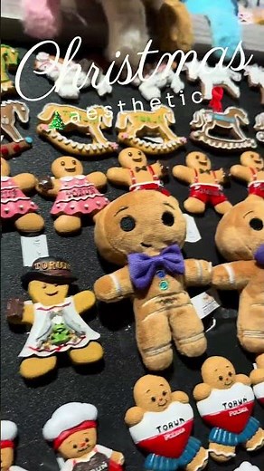 Jarmark Bożonarodzeniowy Toruń 2025 c.d.n #podróże #toruń #jarmark