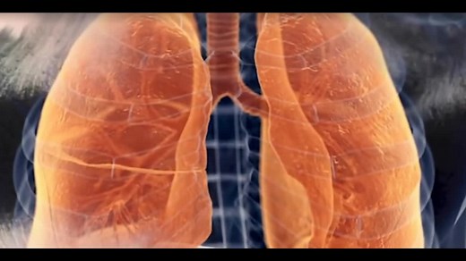 世纪致命疾病系列之超级细菌MRSA