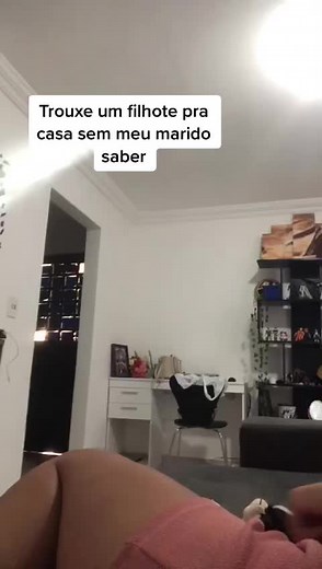 Surpresa: Filhote Chega em Casa Sem Meu Marido Saber
