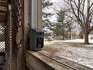 Watch Love checking on surroundings with the Hrivcam Trail Camera 4K 64MP WiFi Solar on Amazon Live