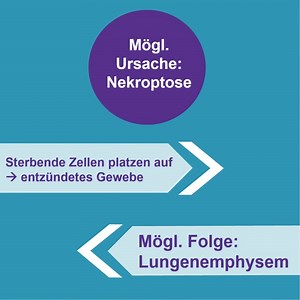 4.8K views · 83 reactions | Wenn Lungenzellen absterben, kann das auf...