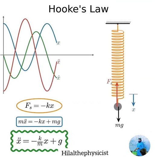 Hook's Law #science #physics #students #hook #facts #experiment #infoknow #maths
