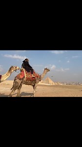 4.6K views · 51 reactions | The Queen Code on Reels | Facebook