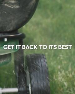 696 reactions · 25 shares | Summer fun was tough on your lawn. Scotts is here to get it back into great shape for fall. | Scotts Lawn Care | Facebook