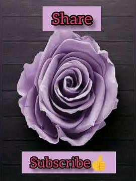 Biology Project File on Mendelian Disorders , Gene and it's affect on heridity.. Class 12