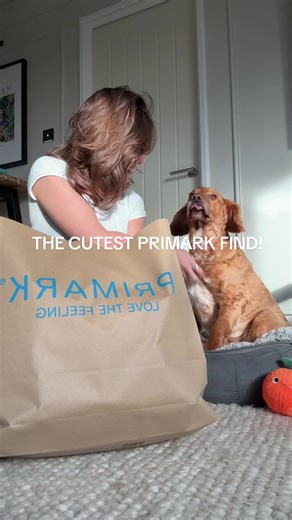 Little mini primary haul!