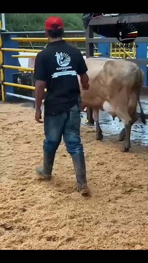 Andres Lopez on Reels