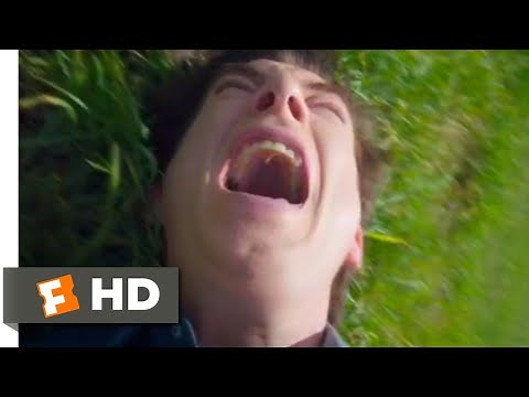 Peter Rabbit 2: The Runaway (2021) - Rolling Downhill Scene (6/10) | Movieclips