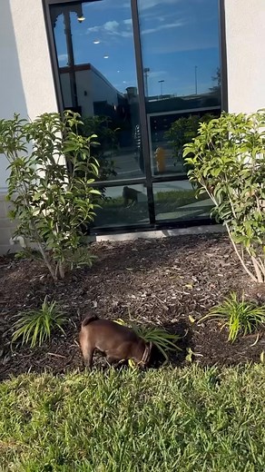 🥰🥰🥰 #beautychallenge #makeup #beautiful #virals #girls | 2 Brother