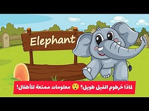 لماذا خرطوم الفيل طويل؟ 😲 معلومات ممتعة للأطفال!