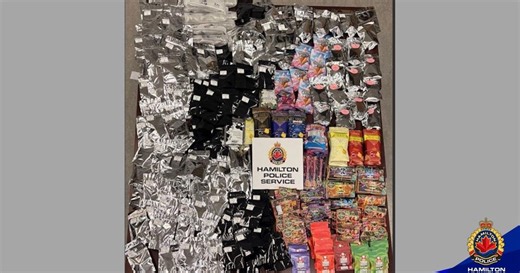Hamilton police shut down east-end magic mushroom shop