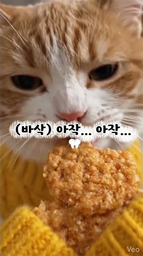 노란 옷 입은 쩝쩝박사님의 8초 바삭 ASMR 🦷Dr. Munchie in Yellow Sweater! Satisfying 8s ASMR