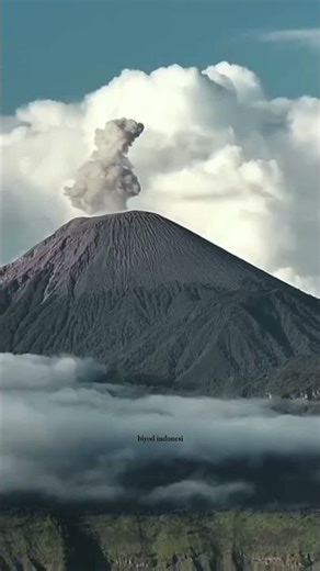 What Makes Java Island Always Captivate the World #shortvideo #shorts #java