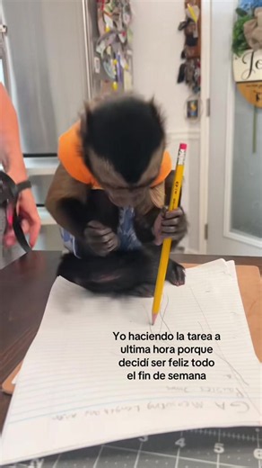 Yo haciendo la tarea a última hora: meme escolar relatable