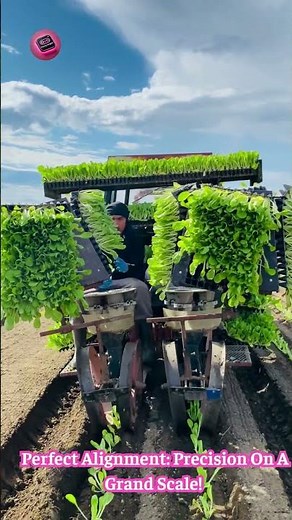 Veggie Planter BOT: This Machine Plants HUGE Fields In MINUTES! 🥬🤖🤯 #FarmAutomation #Precision