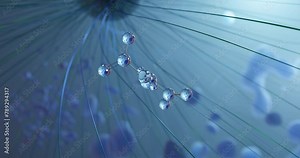 Iron(II) fumarate rotating molecular 3d structure ball-and-stick model, looped video ferrous fumarate