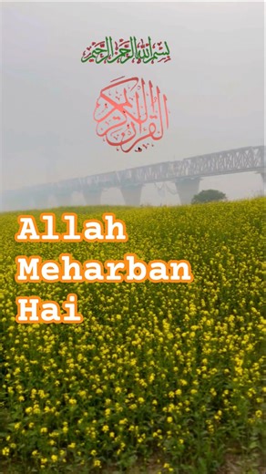 Allah Meharban Hai 🌹| ALLAH Kareem | #allah #quran #islamic #AllahKareem #shorts #youtuber #viral