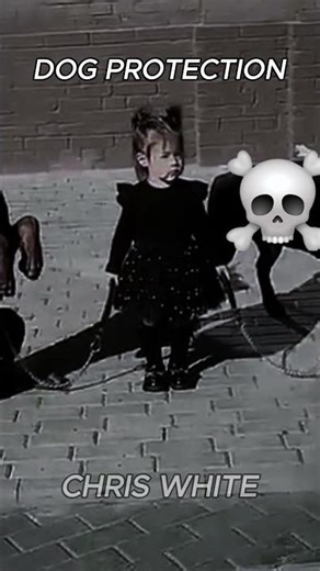 DOG PROTECTION 2 #shorts