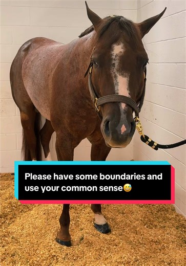 Set Boundaries & Use Common Sense