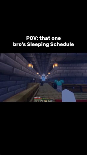 Minecraft Sleep Schedule Moment