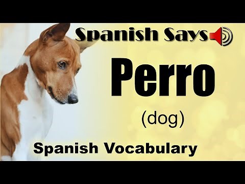Perro: How to Say / Pronounce Perro - Dog in Spanish | Spanish Says