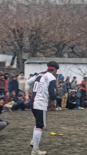 Solving Creator Search Insights and Views Issues