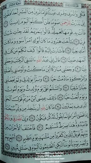 Beautiful Quran Recitation: Top 10 Emotional Voice