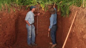 26K views · 624 reactions | Cover crops let farmers tap into a deep reservoir of water & nutrients. #SOSH | U.S. Department of Agriculture | Facebook